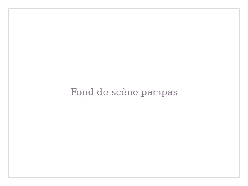 Fond de scène pampas