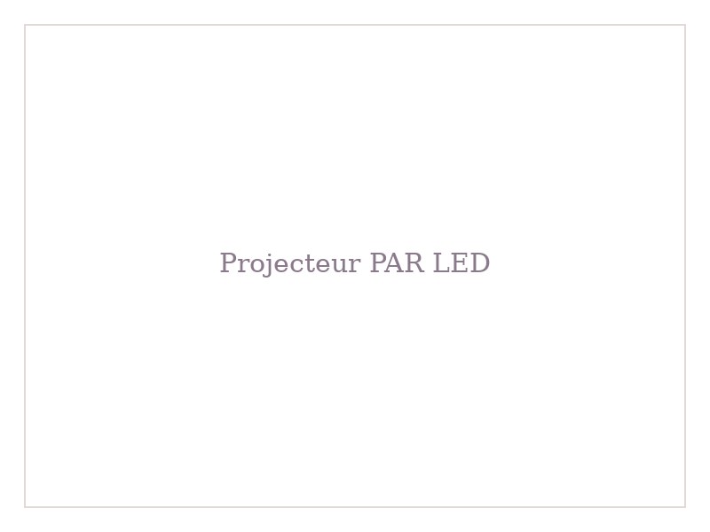 Projecteur PAR LED
